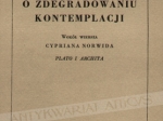 O zdegradowaniu kontemplacji. Wokół wiersza Cypriana Norwida "Plato i Archita"  [egz. J.W. Gomulickiego]