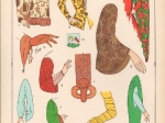 L'Histoire du Costume Féminin Français de l'An 1037 à 1870.