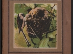 Mały atlas ptaków krajowych zeszyt I