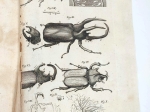 Bibel der Natur, worinnen die Insekten in gewisse Classen vertheilt, ....