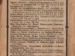 [plan, ok. 1890] Plan von Dresden [Plan Drezna]