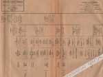 Złota Księga Szlachty Polskiej. Rocznik XI ozdobiony portretem Tomasza hr. Ostrowskiego, prezesa senatu Królestwa Polskiego; z dodaniem czterech tablic genealogicznych z rozrodzeniem się potomstwa Szczęsnego Potockiego, wojewody ruskiego i Wacława Rzewusk