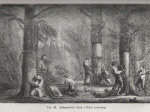 Historyja roślin przez Ludwika Figuier. Dzieło ozdobione 415 wizerunkami z natury wykonanemi, t. I - II