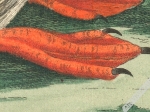 [rycina, 1771-78] The Puffin. Alca Arctica. Puffinus Anglorum. Der Seepapagey [Maskonur]