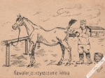 [pocztówka, lata 20-te] Kawalerja: czyszczenie konia