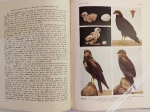Die Vogel Mitteleuropad in allen Lebens- und Entwicklungsstufen photograpisch aufgenommen und in ihrem Seelenleben bei der Aufzucht vom Ei... , t. I-III