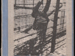 Obozowe piekło. Wspomnienia z pobytu w obozach Auschwitz-Birkenau i Flossenburg [autograf]