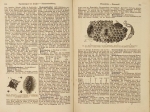 Illustriertes Landwirtschafts - Lexicon