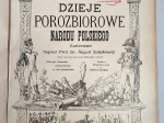 Dzieje porozbiorowe Narodu Polskiego ilustrowane, tom I-IV [4 vol.]
