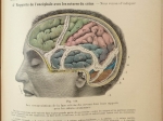 Traité d’Anatomie topographique avec applications medico-chirurgicales. Tom I-II