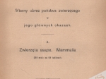 Podręczny atlas zoologiczny. Wierny obraz państwa zwierzęcego w jego głównych okazach. Część pierwsza: Zwierzęta ssące. Mammalia
