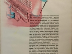 Tomaszowska fabryka sztucznego jedwabiu