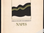Napis