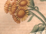 [rycina, 1821] Cineraria palustris. Sumpt Aschenkraut. [starzec błotny, astrowate]