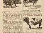 Illustriertes Landwirtschafts - Lexicon