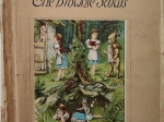 The Brownie Scouts