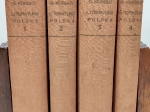 Literatura polska od początków do wojny światowej, t. I-IV.