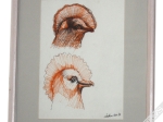 [rysunek, 1971] [Głowy ptaków - szkic]