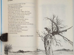 LANDKARTE SCHWER GEBÜGELT Neuepolnische Poesie 1968 bis heute