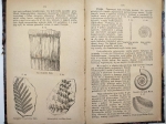 Mineralogia i geologia dla wyższych klas szkół średnich
