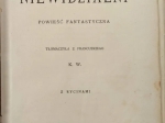 Niewidzialni. Powieść fantastyczna