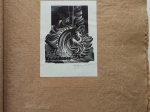 Ekslibrisy polskie. Exlibris polonais 1972-1974  [20 ekslibrisów]