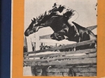 Jeździec i Hodowca. Czasopismo Sportowo-Hodowlane. Rok XVIII (1939), zesz. 1-23 [1 stycznia - 10 sierpnia 1939]